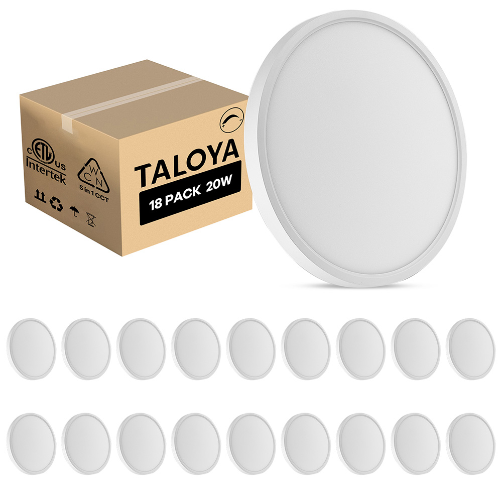 20W LED Ceiling Light (12 inch)